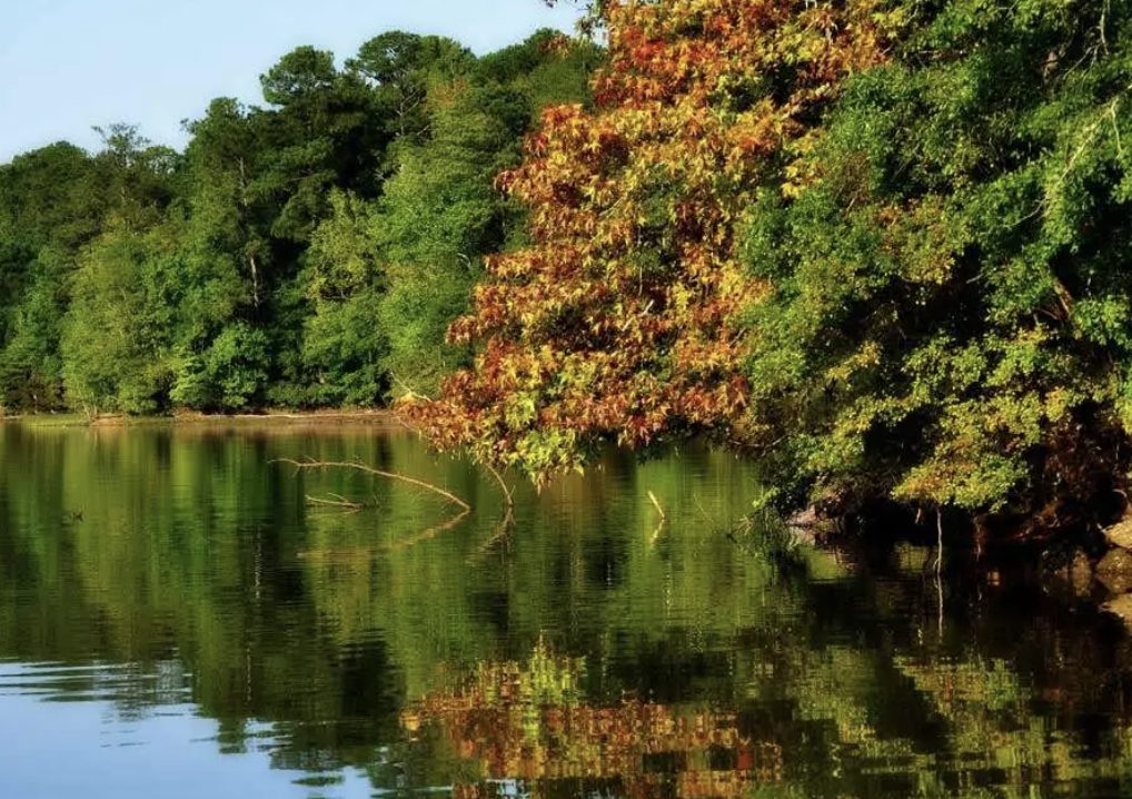 peaceful river with autumn trees in East Alabama
