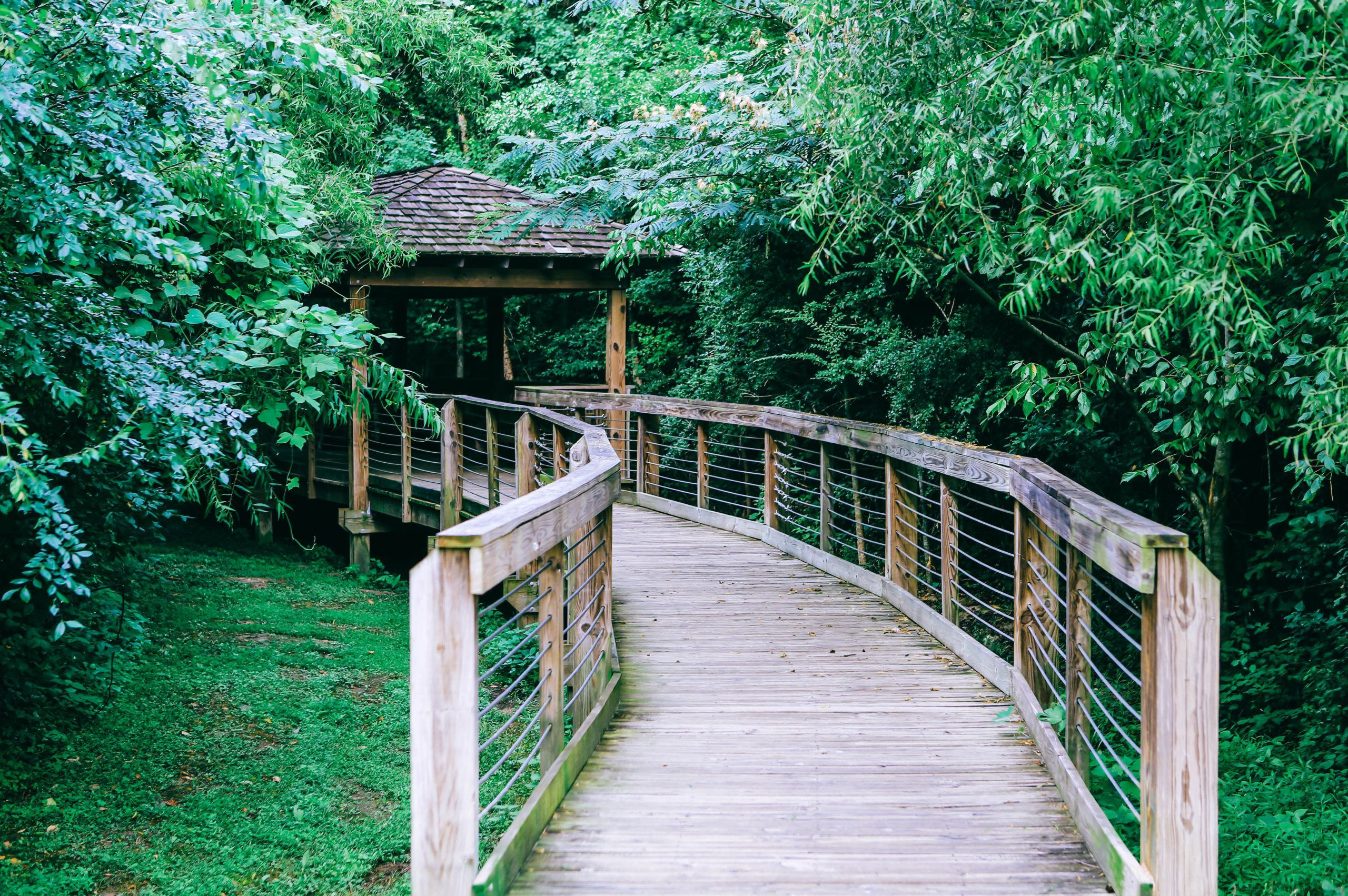 Living in Auburn, Alabama offers many parks to enjoy. like this Board walk at town creek park in Auburn, Alabama