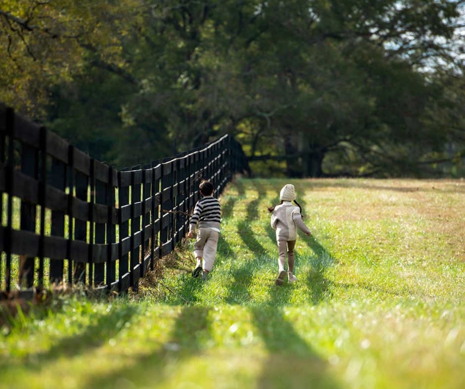 Rural Alabama property with fence line and open land, representing land ownership boundaries and protecting yourself against land fraud in Alabama.