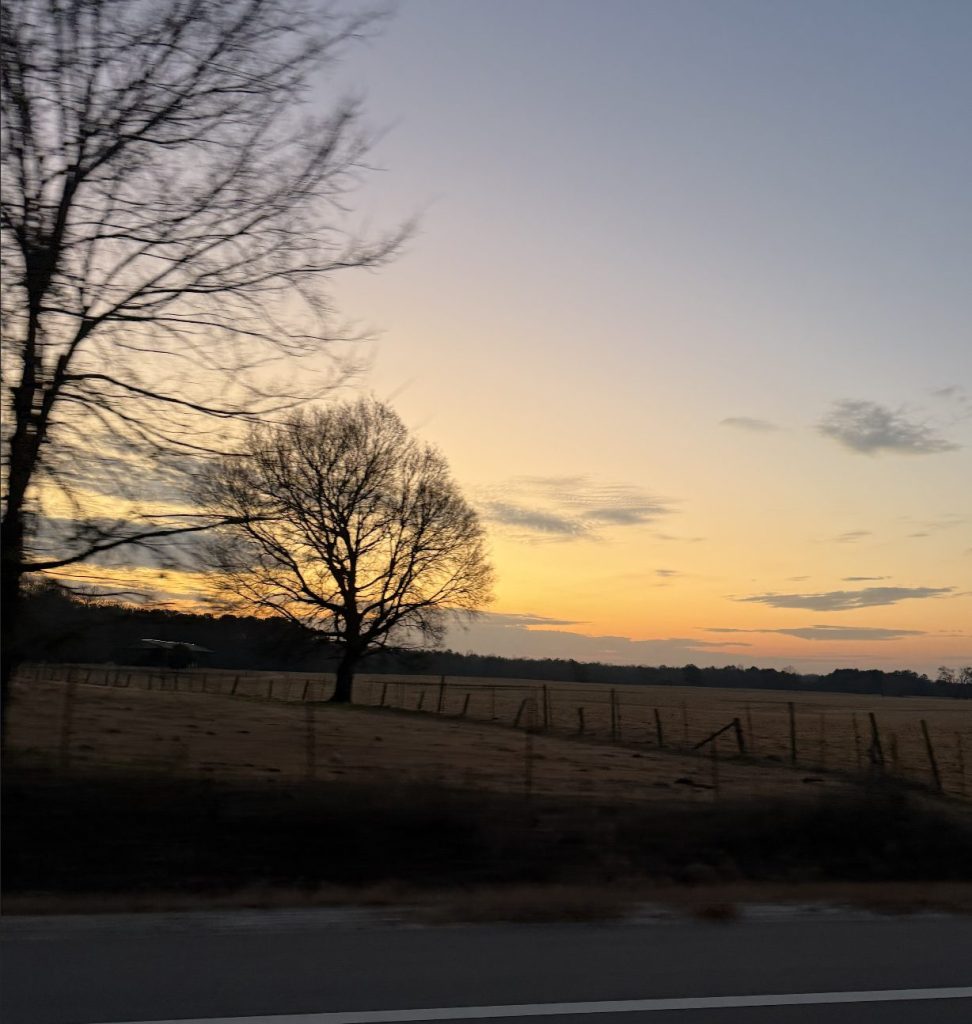 East Alabama sunrise over rural farmland and trees along a quiet backroad near Auburn Opelika