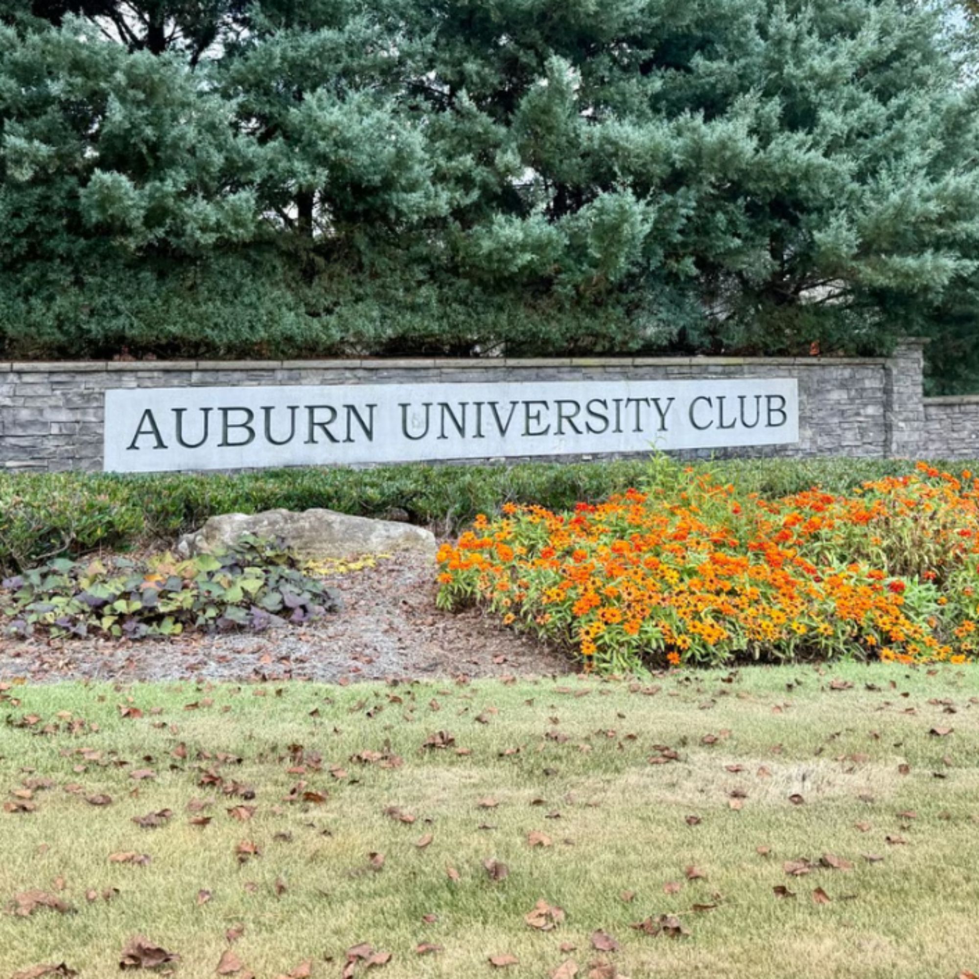 Auburn University Club neighborhood with luxury homes and golf course