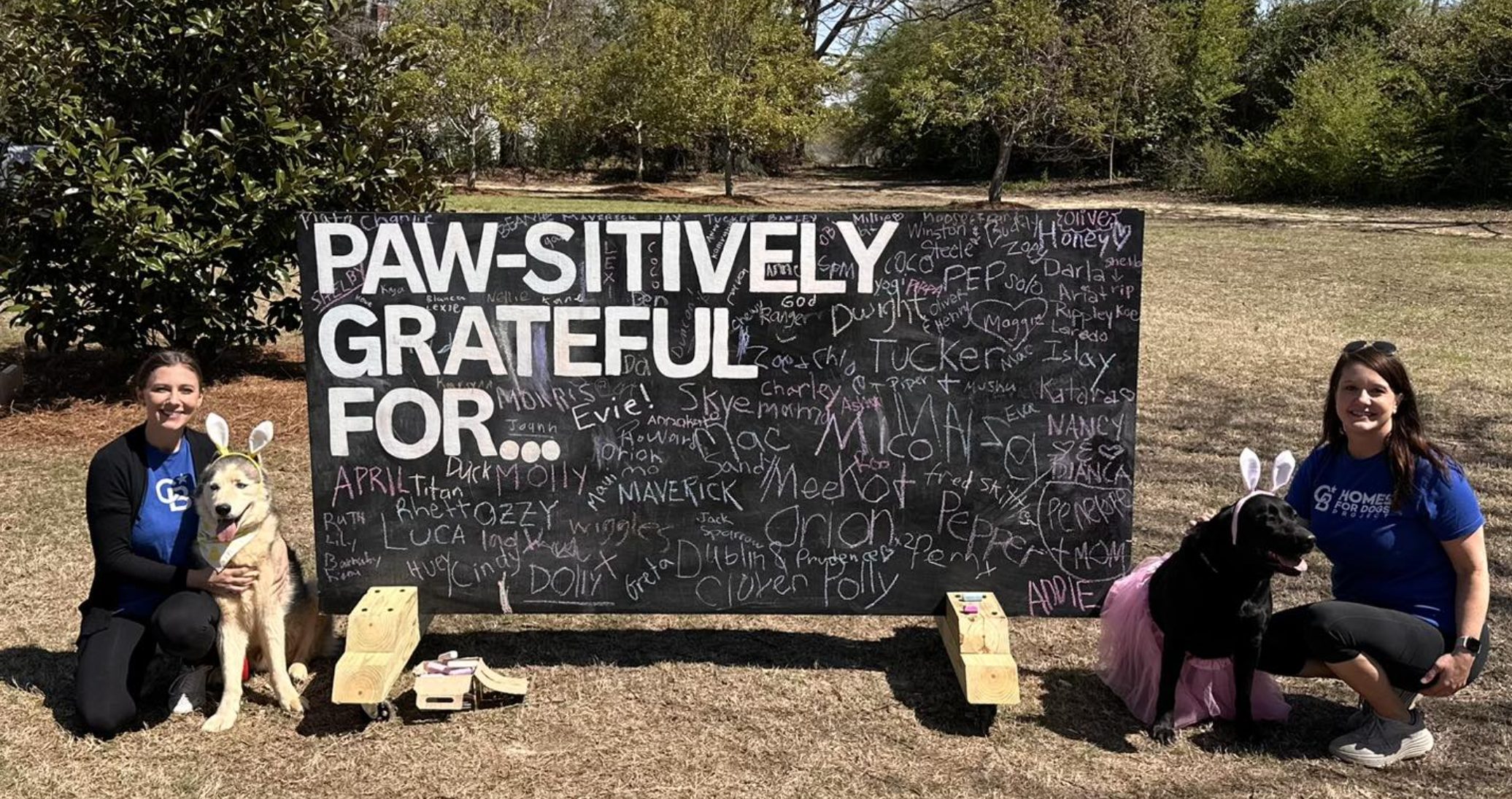 Kent McCown Group Homes for Dogs team with rescue dogs at Bark in the Park in Auburn Alabama in front of Paw-Sitively Grateful For rescue dog appreciation board